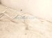 2021 Acura TLX Ac Hose Line A/c Heat Exchanger Pipe 3.0l Awd 80330 TGZ A01 Replacement 2021 Acura TLX Ac Hose Line A/c Heat Exchanger Pipe 3.0l Awd 80330 TGZ A01 Replacement thumbnail