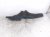 2021 Acura TLX Rear Passenger Inner Fender Liner 74540 TGV A10 Replacement 2021 Acura TLX Rear Passenger Inner Fender Liner 74540 TGV A10 Replacement thumbnail