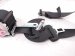 2021 Toyota Highlander Rear 2nd Row Driver Seat Belt Black 73370 0E120 Replacement 2021 Toyota Highlander Rear 2nd Row Driver Seat Belt Black 73370 0E120 Replacement thumbnail