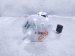 2025 Honda Pilot Gas / Fuel Pump (tank Mounted) 17045 T90 A00 Replacement 2025 Honda Pilot Gas / Fuel Pump (tank Mounted) 17045 T90 A00 Replacement thumbnail
