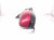 2025 Honda Pilot Rear Passenger Side View Mirror Red 76208 T90 A21 Replacement 2025 Honda Pilot Rear Passenger Side View Mirror Red 76208 T90 A21 Replacement thumbnail