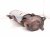 2021 Acura TLX Engine Cylinder Head Exhaust Manifold 2.0t Fwd 18150 6S8 L00 Replacement 2021 Acura TLX Engine Cylinder Head Exhaust Manifold 2.0t Fwd 18150 6S8 L00 Replacement thumbnail