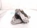 2021 Acura TLX Engine/motor Driver Transmission Mount 2.0l Fwd 50850 TGV A01 Replacement 2021 Acura TLX Engine/motor Driver Transmission Mount 2.0l Fwd 50850 TGV A01 Replacement thumbnail