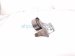 2021 Acura TLX Belt Tensioner W/pulley 2.0t 31170 6B2 A01 Replacement 2021 Acura TLX Belt Tensioner W/pulley 2.0t 31170 6B2 A01 Replacement thumbnail