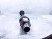 2024 Honda Prologue Front Driver Cv Axle Drive Shaft Replacement 2024 Honda Prologue Front Driver Cv Axle Drive Shaft Replacement thumbnail