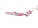 2025 Honda Pilot Passenger Hood Hinge Red 60120 T90 A00ZZ Replacement 2025 Honda Pilot Passenger Hood Hinge Red 60120 T90 A00ZZ Replacement thumbnail