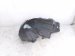 2021 Acura TLX Front Passenger Inner Fender Liner 74100 TGV A11 Replacement 2021 Acura TLX Front Passenger Inner Fender Liner 74100 TGV A11 Replacement thumbnail