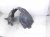 2021 Acura TLX Front Passenger Inner Fender Liner 74100 TGV A11 Replacement 2021 Acura TLX Front Passenger Inner Fender Liner 74100 TGV A11 Replacement thumbnail