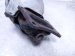 2020 Honda Odyssey Manifold Front Exhaust Converter 3.5l Fwd 18180 5MR A01 Replacement 2020 Honda Odyssey Manifold Front Exhaust Converter 3.5l Fwd 18180 5MR A01 Replacement thumbnail