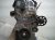 2025 Honda Civic Long Block Engine / Motor = 0k Mi 10002 6MD A01 Replacement 2025 Honda Civic Long Block Engine / Motor = 0k Mi 10002 6MD A01 Replacement thumbnail