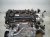 2025 Honda Civic Long Block Engine / Motor = 0k Mi 10002 6MD A01 Replacement 2025 Honda Civic Long Block Engine / Motor = 0k Mi 10002 6MD A01 Replacement thumbnail