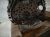 2025 Honda Civic Long Block Engine / Motor = 0k Mi 10002 6MD A01 Replacement 2025 Honda Civic Long Block Engine / Motor = 0k Mi 10002 6MD A01 Replacement thumbnail
