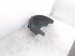 2025 Honda Civic Rear Passenger Inner Fender Liner 74552 T20 A20 Replacement 2025 Honda Civic Rear Passenger Inner Fender Liner 74552 T20 A20 Replacement thumbnail