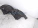 2025 Honda Civic Rear Passenger Inner Fender Liner 74552 T20 A20 Replacement 2025 Honda Civic Rear Passenger Inner Fender Liner 74552 T20 A20 Replacement thumbnail