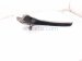 2021 Toyota Highlander Front Passenger Mud Flap / Splash Guard 76621 0E020 Replacement 2021 Toyota Highlander Front Passenger Mud Flap / Splash Guard 76621 0E020 Replacement thumbnail