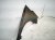 2022 Hyundai Elantra Front Driver Fender Black 66310 AA100 Replacement 2022 Hyundai Elantra Front Driver Fender Black 66310 AA100 Replacement thumbnail