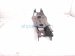 2025 Honda Pilot Rear Passenger Spring Seat Lower Control Arm 52351 T90 A01 Replacement 2025 Honda Pilot Rear Passenger Spring Seat Lower Control Arm 52351 T90 A01 Replacement thumbnail