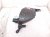 2025 Honda Pilot Intake Air Cleaner Resonator Chamber 17230 6FB A01 Replacement 2025 Honda Pilot Intake Air Cleaner Resonator Chamber 17230 6FB A01 Replacement thumbnail