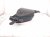 2025 Honda Pilot Intake Air Cleaner Resonator Chamber 17230 6FB A01 Replacement 2025 Honda Pilot Intake Air Cleaner Resonator Chamber 17230 6FB A01 Replacement thumbnail