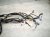 2022 Honda Odyssey Dash Instrument Wire Harness Tour 32117 THR A60 Replacement 2022 Honda Odyssey Dash Instrument Wire Harness Tour 32117 THR A60 Replacement thumbnail