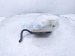 2021 Acura TLX Coolant Overflow Reservoir Tank 19101 6A0 A00 Replacement 2021 Acura TLX Coolant Overflow Reservoir Tank 19101 6A0 A00 Replacement thumbnail