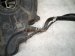 2011 BMW 750li Gas / Fuel Tank 16117267498 Replacement 2011 BMW 750li Gas / Fuel Tank 16117267498 Replacement thumbnail