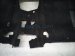 2016 Honda Accord Front / Ground Interior Floor Carpet Black Cpe 83301 T3L A11ZA Replacement 2016 Honda Accord Front / Ground Interior Floor Carpet Black Cpe 83301 T3L A11ZA Replacement thumbnail
