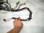 2016 Honda Accord Dash Instrument Wire Harness Lx 32117 T3L A13 Replacement 2016 Honda Accord Dash Instrument Wire Harness Lx 32117 T3L A13 Replacement thumbnail