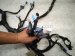 2025 Honda Pilot Dash Instrument Wire Harness Tour 32117 T90 AA0 Replacement 2025 Honda Pilot Dash Instrument Wire Harness Tour 32117 T90 AA0 Replacement thumbnail