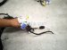 2025 Honda Pilot Dash Instrument Wire Harness Tour 32117 T90 AA0 Replacement 2025 Honda Pilot Dash Instrument Wire Harness Tour 32117 T90 AA0 Replacement thumbnail
