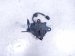2013 Lexus Gs350 Hood Latch / Lock Assy 53510 30360 Replacement 2013 Lexus Gs350 Hood Latch / Lock Assy 53510 30360 Replacement thumbnail