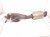 2013 Lexus Gs350 Passenger Air Fuel Ratio Oxygen Sensor 89467 22050 Replacement 2013 Lexus Gs350 Passenger Air Fuel Ratio Oxygen Sensor 89467 22050 Replacement thumbnail