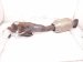 2013 Lexus Gs350 Passenger Air Fuel Ratio Oxygen Sensor 89467 22050 Replacement 2013 Lexus Gs350 Passenger Air Fuel Ratio Oxygen Sensor 89467 22050 Replacement thumbnail