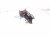 2013 Lexus Gs350 Engine/motor Rear Engine Mount 3.5l Rwd 12371 36280 Replacement 2013 Lexus Gs350 Engine/motor Rear Engine Mount 3.5l Rwd 12371 36280 Replacement thumbnail
