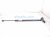 2024 Honda Prologue Rear Driver Tailgate Shock Strut Replacement 2024 Honda Prologue Rear Driver Tailgate Shock Strut Replacement thumbnail