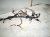 2023 Nissan Murano Dash Instrument Wire Harness Awd 24010 9UG7B Replacement 2023 Nissan Murano Dash Instrument Wire Harness Awd 24010 9UG7B Replacement thumbnail