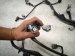 2023 Nissan Murano Engine Room Harness W/fuse 3.5l Awd 24011 9UH0B Replacement 2023 Nissan Murano Engine Room Harness W/fuse 3.5l Awd 24011 9UH0B Replacement thumbnail