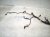 2023 Nissan Murano Engine Room Harness W/fuse 3.5l Awd 24011 9UH0B Replacement 2023 Nissan Murano Engine Room Harness W/fuse 3.5l Awd 24011 9UH0B Replacement thumbnail