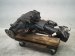 2019 Toyota Tacoma Front Differential 3.91 A/t 41110 35D71 Replacement 2019 Toyota Tacoma Front Differential 3.91 A/t 41110 35D71 Replacement thumbnail