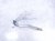 2021 Honda Accord Passenger Hood Hinge White Sdn 60120 TVA A00ZZ Replacement 2021 Honda Accord Passenger Hood Hinge White Sdn 60120 TVA A00ZZ Replacement thumbnail