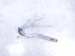 2021 Honda Accord Passenger Hood Hinge White Sdn 60120 TVA A00ZZ Replacement 2021 Honda Accord Passenger Hood Hinge White Sdn 60120 TVA A00ZZ Replacement thumbnail