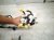 2002 Lexus Sc430 Instrument Panel Wire Harness 82141 24610 Replacement 2002 Lexus Sc430 Instrument Panel Wire Harness 82141 24610 Replacement thumbnail