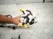 2002 Lexus Sc430 Instrument Panel Wire Harness 82141 24610 Replacement 2002 Lexus Sc430 Instrument Panel Wire Harness 82141 24610 Replacement thumbnail