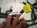 2002 Lexus Sc430 Instrument Panel Wire Harness 82141 24610 Replacement 2002 Lexus Sc430 Instrument Panel Wire Harness 82141 24610 Replacement thumbnail