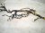 2002 Lexus Sc430 Instrument Panel Wire Harness 82141 24610 Replacement 2002 Lexus Sc430 Instrument Panel Wire Harness 82141 24610 Replacement thumbnail