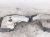 2021 Nissan Maxima Front Passenger Inner Fender Liner 63840 4RA1D Replacement 2021 Nissan Maxima Front Passenger Inner Fender Liner 63840 4RA1D Replacement thumbnail