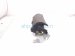 2023 Mazda Cx 30 Airbag Rear Passenger Seat Air Bag DLLM 57 KK0 Replacement 2023 Mazda Cx 30 Airbag Rear Passenger Seat Air Bag DLLM 57 KK0 Replacement thumbnail