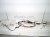 2018 Toyota Camry Engine Room Harness 2.5l Le 82111 3TE50 Replacement 2018 Toyota Camry Engine Room Harness 2.5l Le 82111 3TE50 Replacement thumbnail