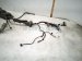 2018 Toyota Camry Engine Room Harness 2.5l Le 82111 3TE50 Replacement 2018 Toyota Camry Engine Room Harness 2.5l Le 82111 3TE50 Replacement thumbnail