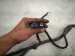 2006 Honda Accord Engine Room Harness 2.4l Fwd 32100 SDA A22 Replacement 2006 Honda Accord Engine Room Harness 2.4l Fwd 32100 SDA A22 Replacement thumbnail